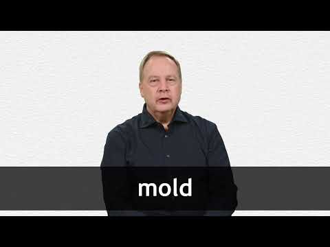 MOLD definition and meaning | Collins English Dictionary