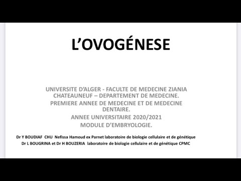 Embryologie (4) : Ovogenèse بالدارجة و بطريقة بسيطة و سهلة (أجي تفهم و تحفظ)