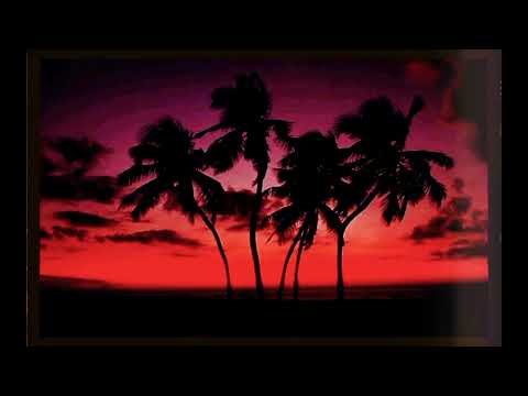 Shouse x David Guetta Type Beat "Love Tonight"