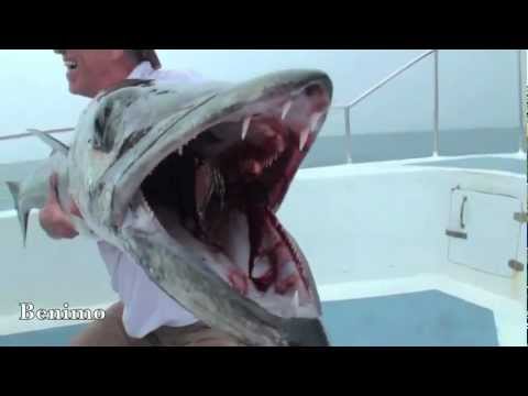 Пхукет , Морская рыбалка - Экскурсии о.Пхукет 