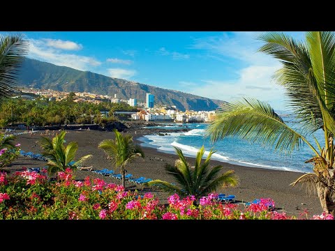 Learn Spanish in Tenerife with #Verbalists