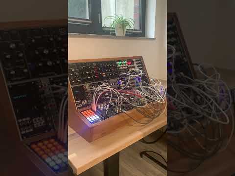 Quick Patch #1 | Eurorack DIY Case