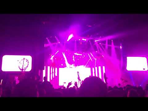 Bassnectar Electric @ Forest 2017 Weekend 2 - Grotter (Pluto Era) (6/6)