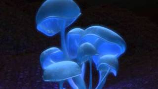 sir RAKU 150 bpm(russian bumping rmx)