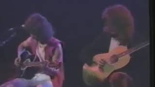 Billy Squier - Learn How To Live (Live &#39;83)