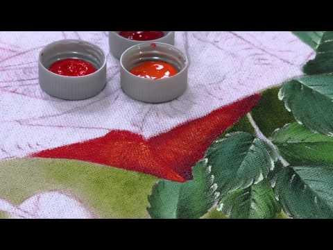 Mulher.com 05/06/2014 - Pintura Tecido Rosa Vermelha por Fatima Hespanholeto - Parte 2