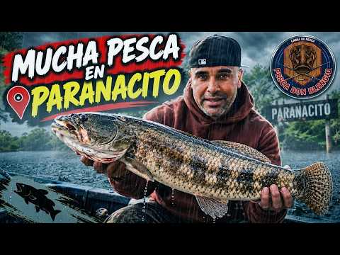 Terribles las TARUCHAS en Paranacito!!!