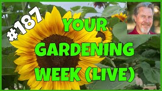 Gardening Lessons Learned (Q&A)