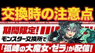 [7周年] 無料でゼラを手に入れよう！  [ランキングダンジョン ガチャドラフィーバー]