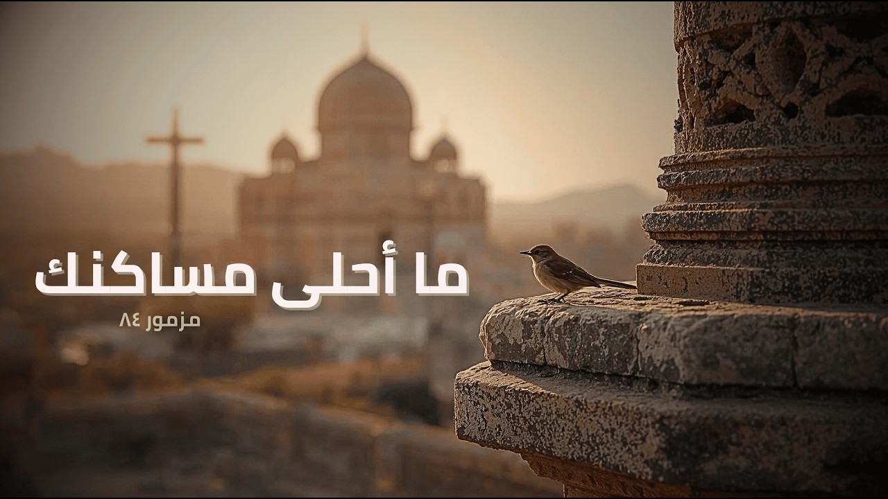 فيديو تفسير الكتاب المقدس | الكتاب المقدس رفيقي