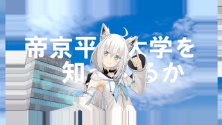 ノリノリ白上