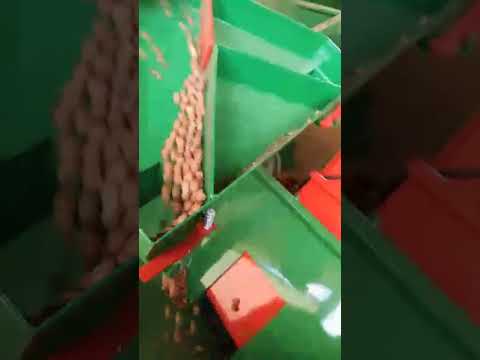 GIAMPI PULITURA NOCCIOLE MEGA 1