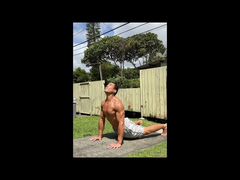 Day 307 FitPro Hawaii Workout (2X SPEED) - “Plank Penalty” (missed workout 😢) - March 20, 2021
