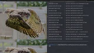 Abusing Inter Domain Trusts with Golden Tickets via SeBackupPrivilege and Impack