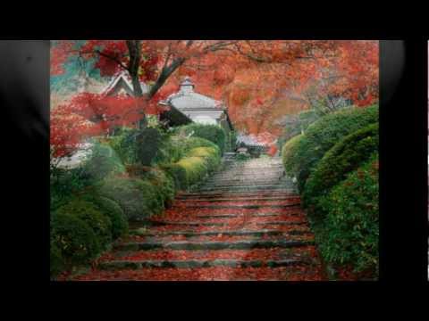 Me perdoa Te perdoo - Edson Aquino