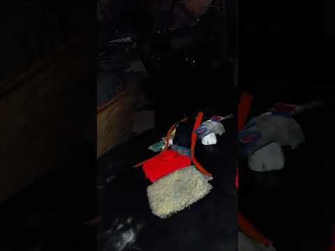 Catman To The Rescue You Tube Exclusive: Momo Clan plus Dietrich - February 7th, 2023