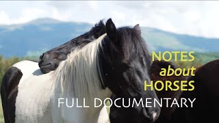 Notes about Horses | Full Documentary