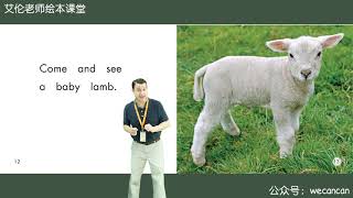 4 The Baby Animals