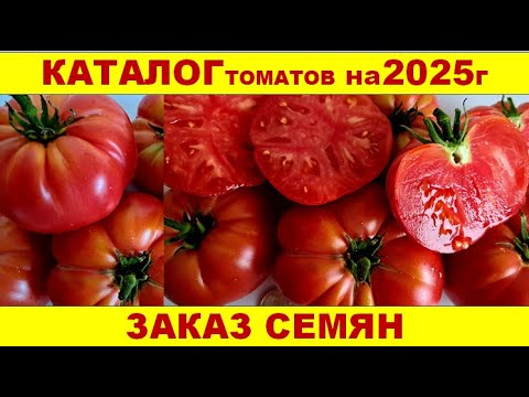 Купить Семена Томатов У Коллекционеров На 2025