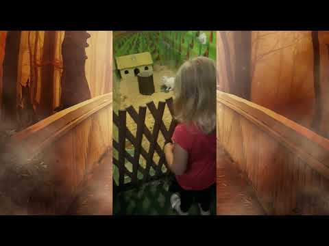 Zauberschloss "Hokuspokus" "Ukryta Kraina" an der polnischen Ostsee - Toller Ausflug mit Kindern