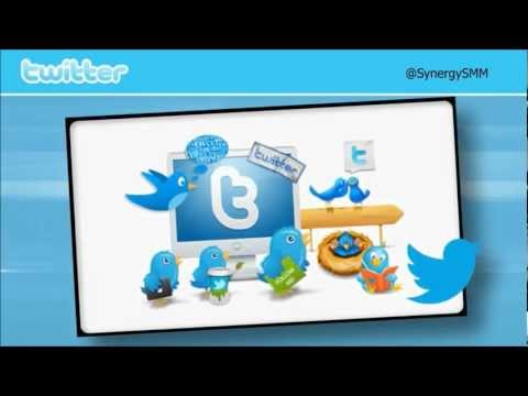 Twitter Account & Account Optimisation The Synergy 5 Step Process
