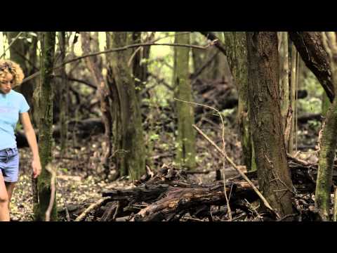 Thumbnail of the video: BUTTERFLY (Mariposa) by Marco Berger - EXCERPT