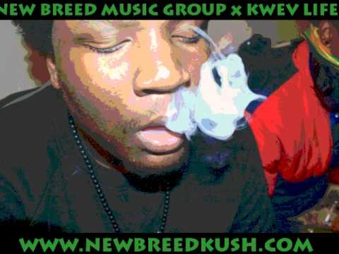 New Breed Dexx of NBMG; Test Tubes x Beakers