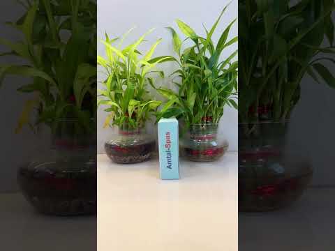 AMTAL SPAS Tablet, 10X10, Prescription