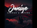 Janiye Slowed Reverb SlowedSoul