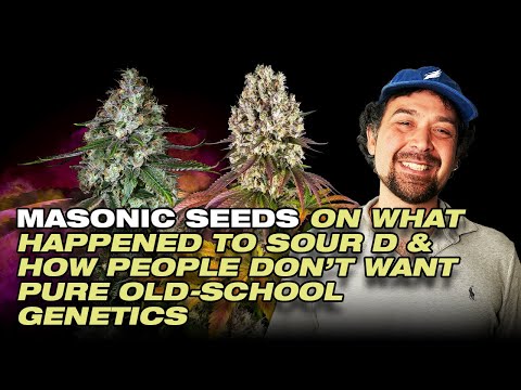 What Happened To Sour D?