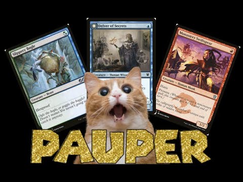 A Beginner's Guide to the Pauper Format