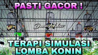 Download lagu 🔵TERAPI SIMULASI LOMBA KONIN AUTO GACOR AUDIO JERNIH COCOK BUAT PANCINGAN BURUNG KOLIBRI NINJA BAHAN mp3