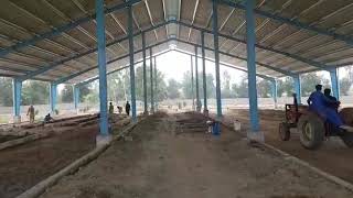 preview picture of video 'Zahoor dairy farm (chak 81 Malhowala Sargodha ) Under construction.'