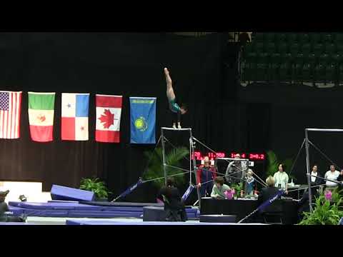 Li Shijia Bars - 2018 WOGA Classic