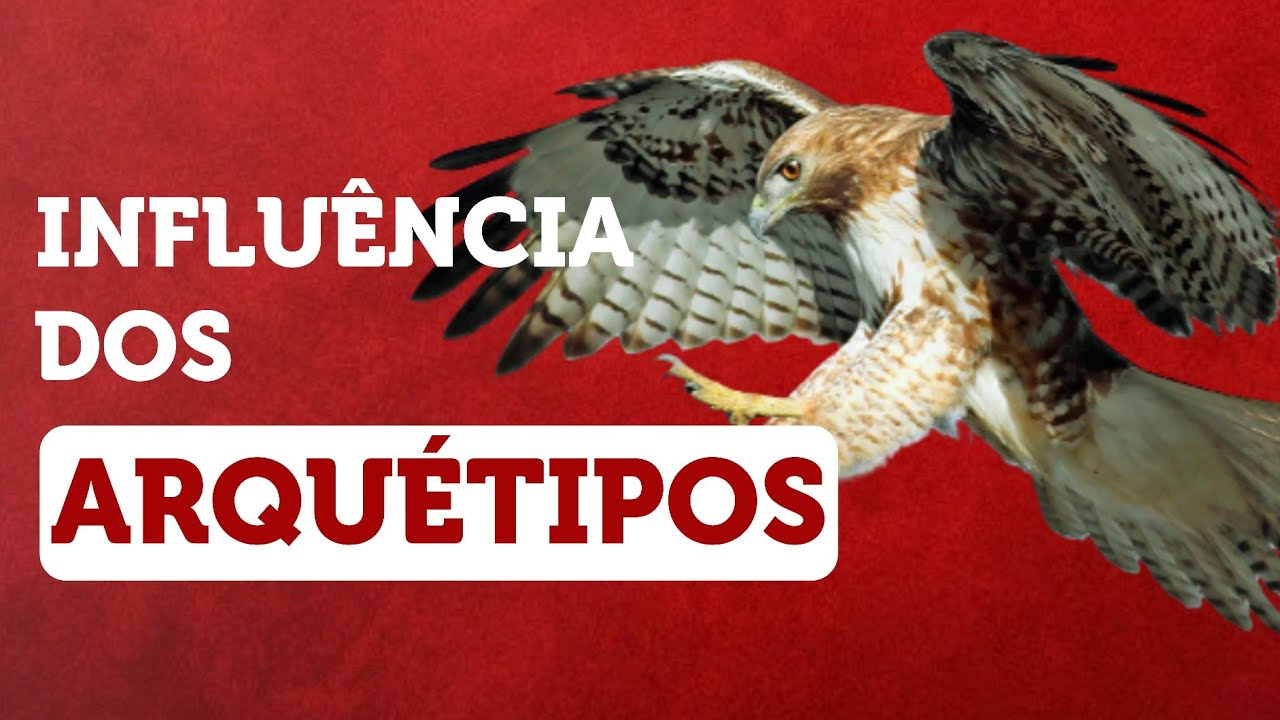 Impacto do Arquétipo do FALCÃO nos RELACIONAMENTOS e TRABALHO