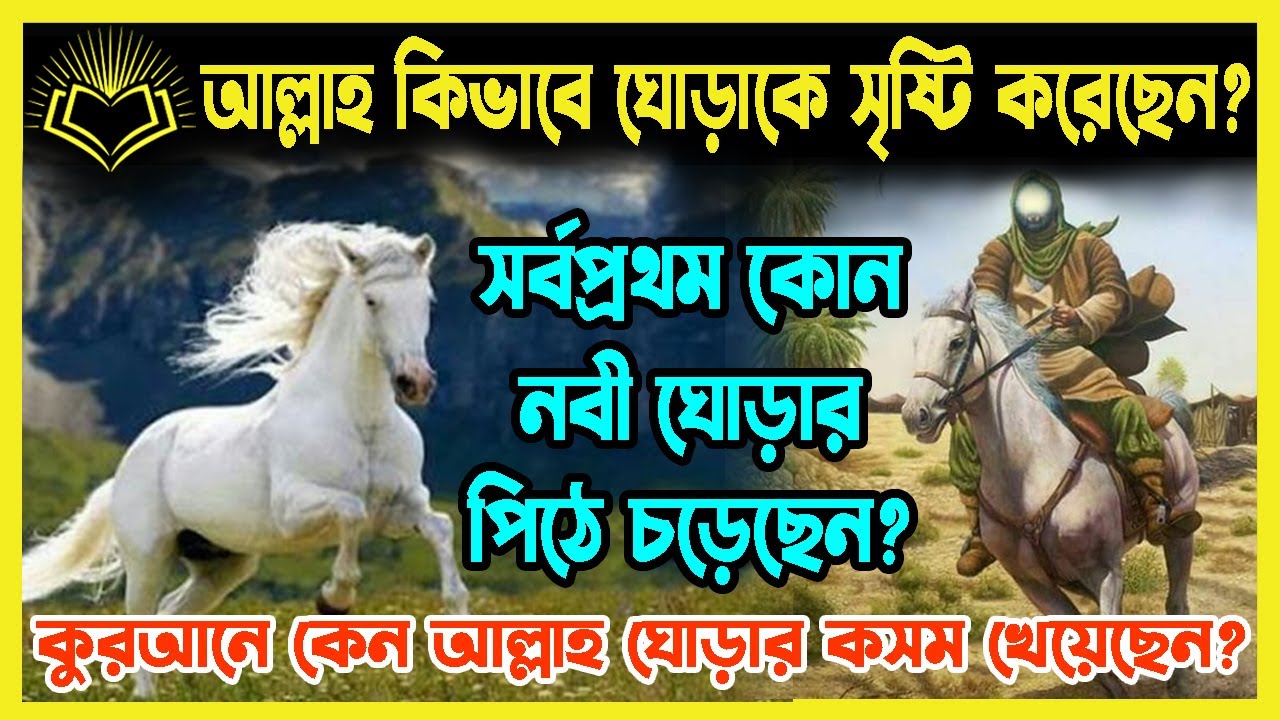 আল্লাহ তায়ালা কিভাবে ঘোড়াক সৃষ্টি করেছেন? সর্বপ্রথম কে ঘোড়ায় চড়েছিলেন ?