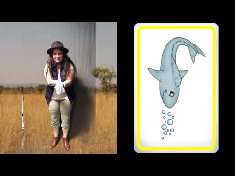 Zoo-Phonics movement Ellie, Francy, Gordo, Honey