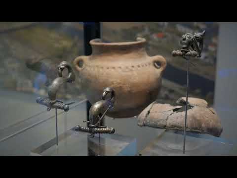 Keltenschatz im Stadtmuseum Pirna