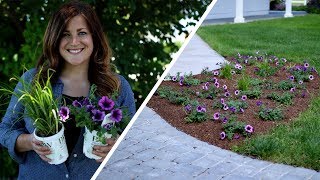 Tips for Planting Annuals in the Landscape // Garden Answer