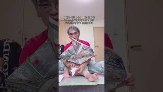 【 親子で楽しむ】🐱36 折り紙 #Origami #育児あるある #成長記録 #子育て #2歳3カ月