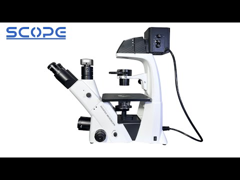 Inverted Biological Microscope