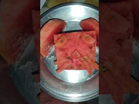 watermelon🍉 🍰cake.. #pranavi#manavi#agrahari#funnyvideo#homemadecooking#2023 @Pratibha-Agrahari.