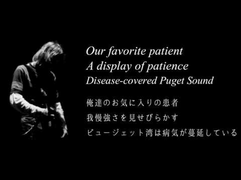 Nirvana - Frances Farmer Will Have Her Revenge On Seattle - Lyrics & 和訳