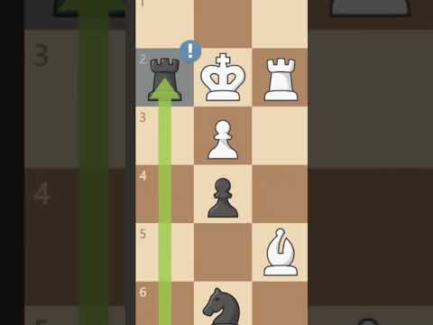 BRILLIANT Triple Sacrifice Checkmate!