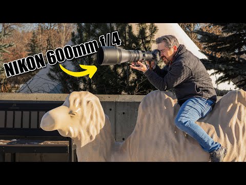 Nikon Z 600mm f/4 S Review: The MOST EXPENSIVE Lens We've Ever Tested!