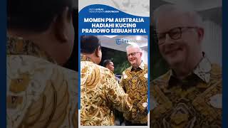 Momen Manis saat Kucing Prabowo, Bobby Dihadiahi Syal oleh PM Australia, Senyum Presiden RI Merekah