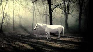 Stimming - The Unicorn