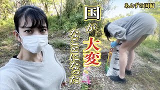 留守中に大変なことになりました #農業 #tiktok #youtube #youtubeshorts