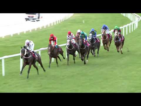 2020.10.18. 06. futam - APERIANOV ZAKARIÁS EMLÉKVERSENY – IMPERIÁL DÍJ (HUN Gd-2) (NGL-VIII.)