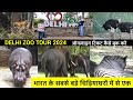Delhi zoo / delhi zoo all animals / Delhi zoo online ticket booking, ticket price Delhi chidiya ghar